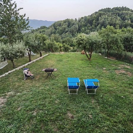 Villa Vila Ella Căpăţîneni-Ungureni Exterior foto